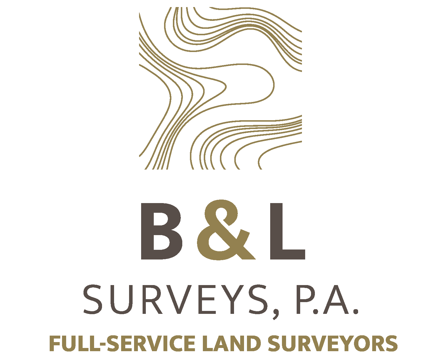 B&LSurveyors_Final_B&LSurveys_V